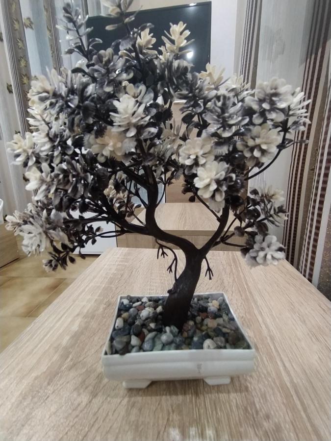 Каламанди Asenovgrad Ngoại thất bức ảnh