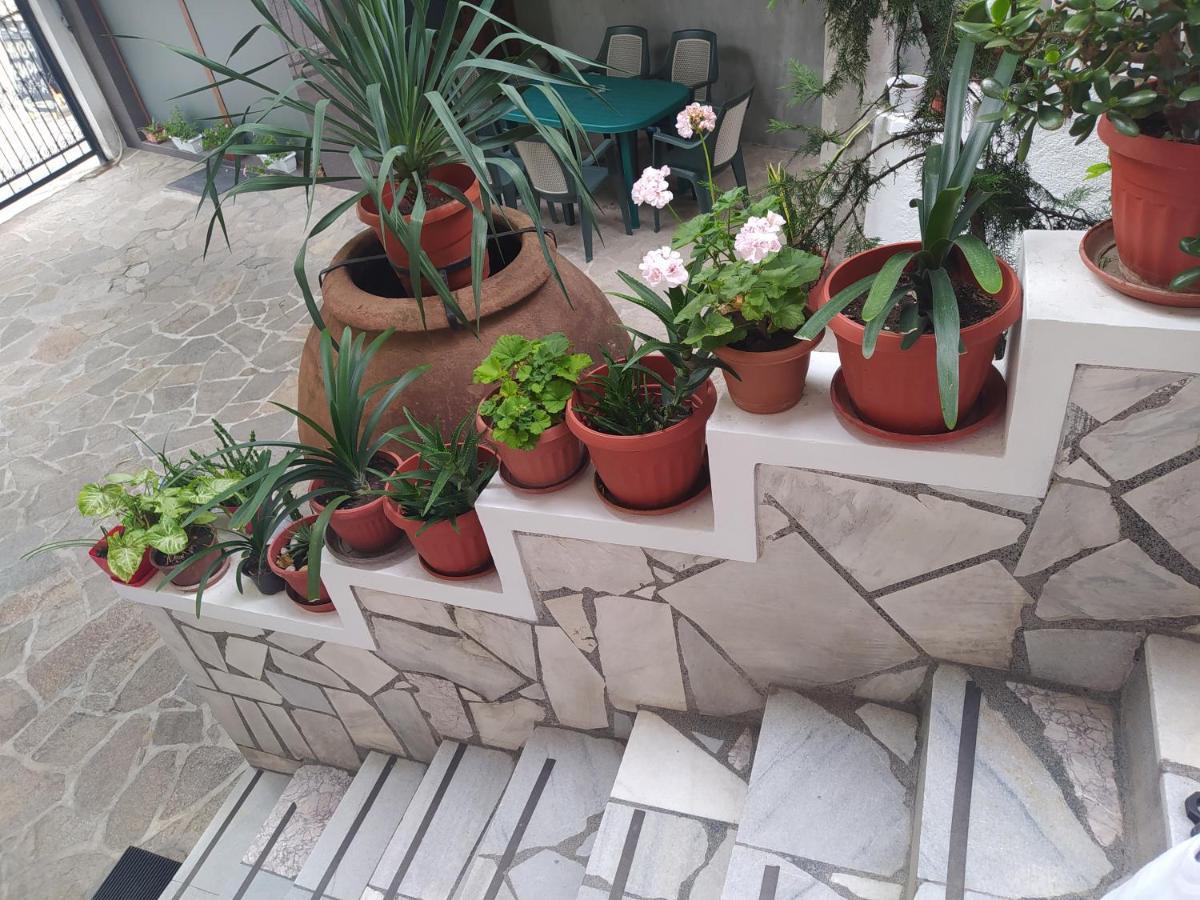 Каламанди Asenovgrad Ngoại thất bức ảnh